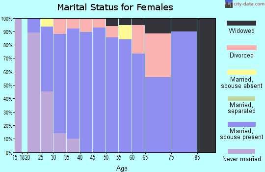 Zip code 14167 marital status for females