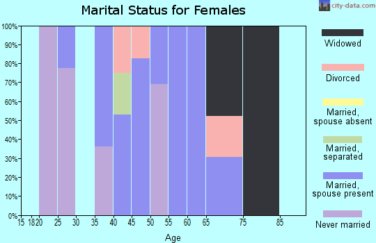 Zip code 14728 marital status for females