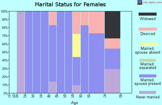 Zip code 14784 marital status for females