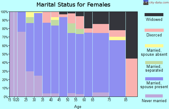 Zip code 14804 marital status for females