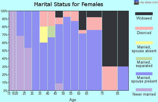 Zip code 14805 marital status for females