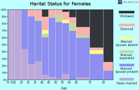 Zip code 14806 marital status for females