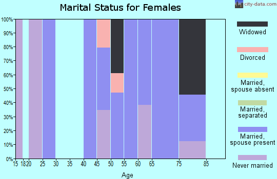 Zip code 14808 marital status for females