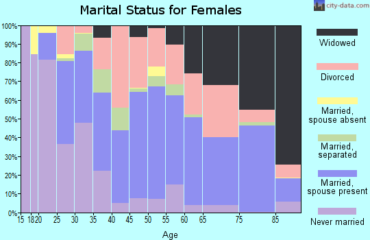 Zip code 14904 marital status for females