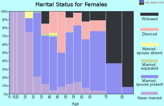 Zip code 15133 marital status for females