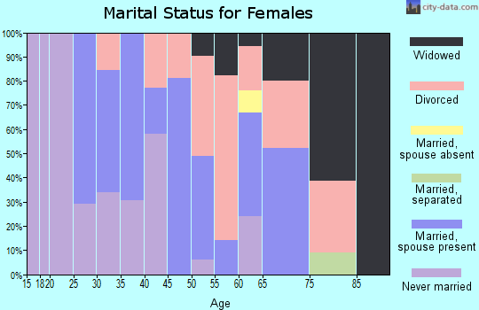 Zip code 15140 marital status for females