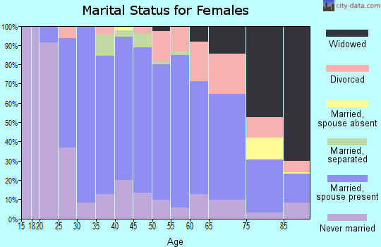 Zip code 15243 marital status for females