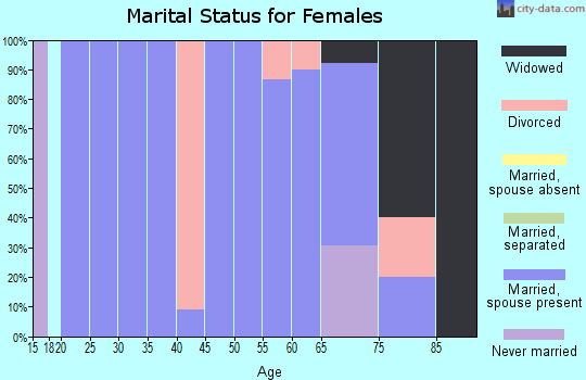 Zip code 15313 marital status for females