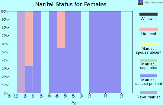 Zip code 15334 marital status for females