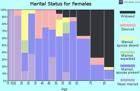 Zip code 15456 marital status for females