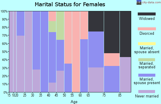 Zip code 15458 marital status for females