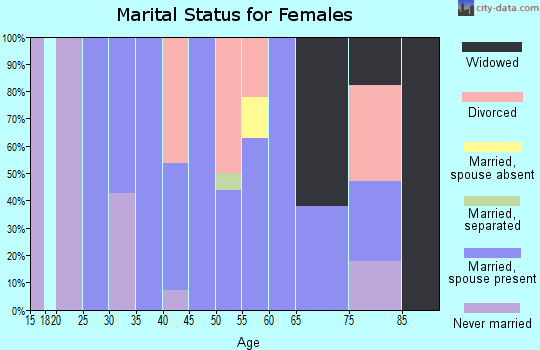 Zip code 15466 marital status for females