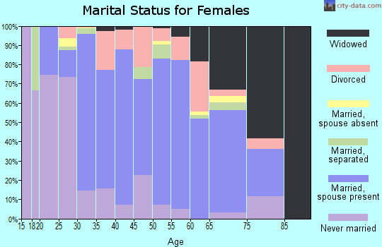Zip code 15478 marital status for females