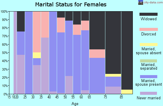Zip code 15480 marital status for females