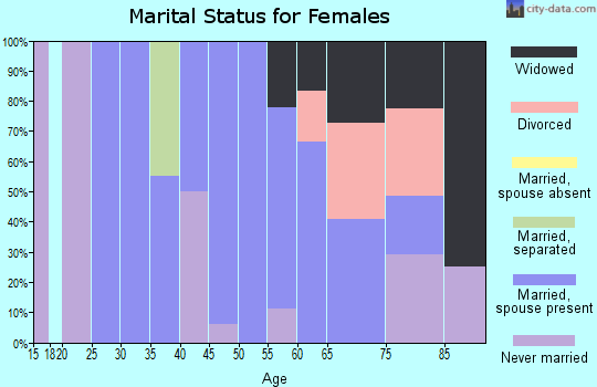 Zip code 15483 marital status for females