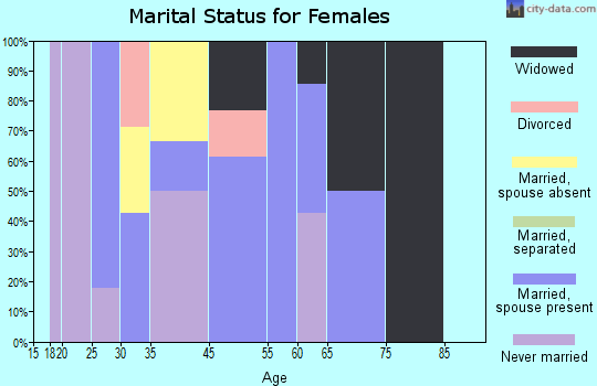 Zip code 15485 marital status for females