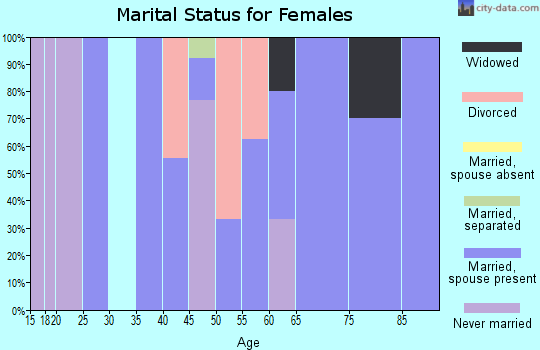 Zip code 15540 marital status for females