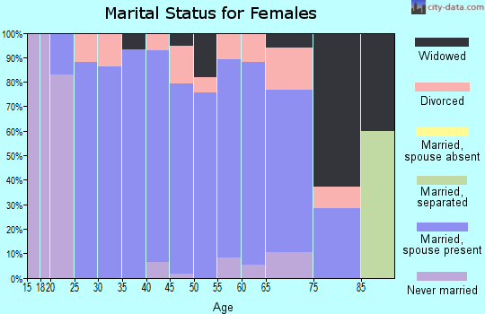 Zip code 15541 marital status for females