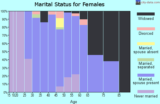 Zip code 15542 marital status for females