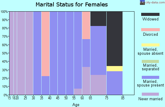 Zip code 15547 marital status for females