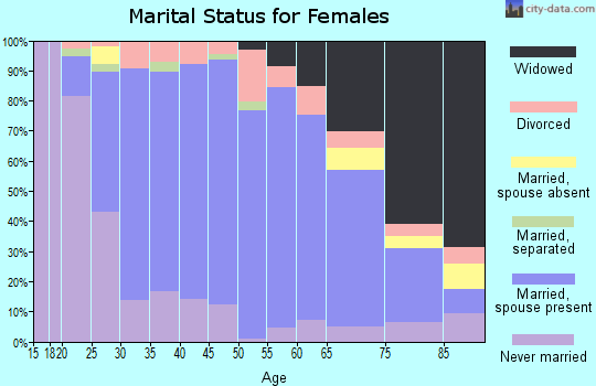 Zip code 15552 marital status for females