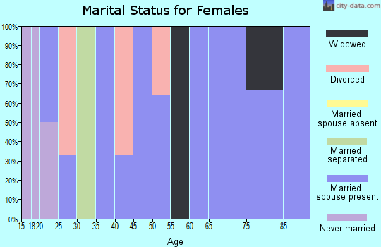 Zip code 15560 marital status for females