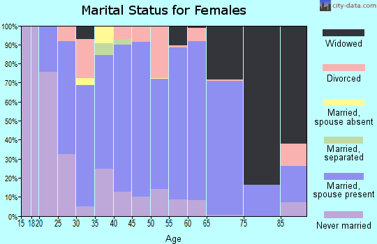 Zip code 15563 marital status for females