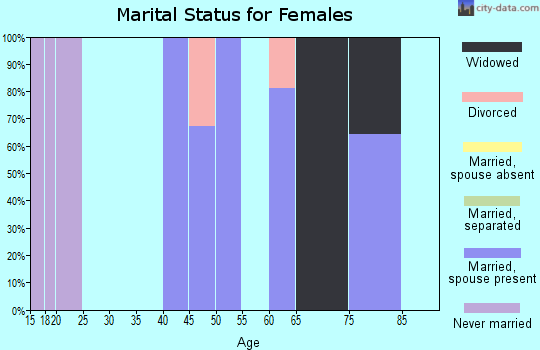 Zip code 15640 marital status for females