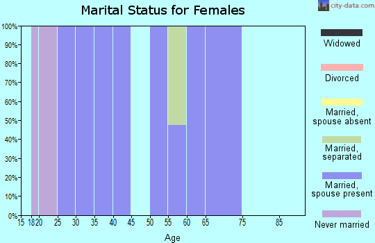 Zip code 15671 marital status for females