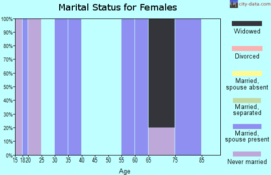 Zip code 15745 marital status for females