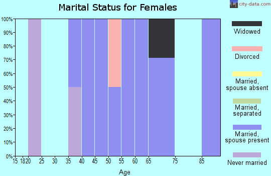 Zip code 15784 marital status for females