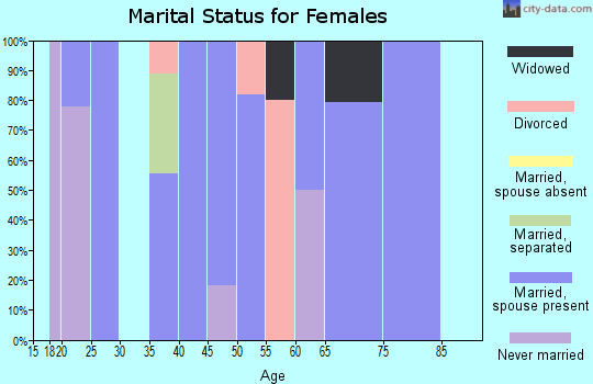 Zip code 15866 marital status for females
