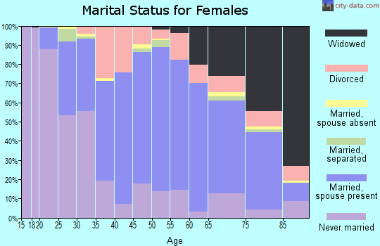 Zip code 15904 marital status for females