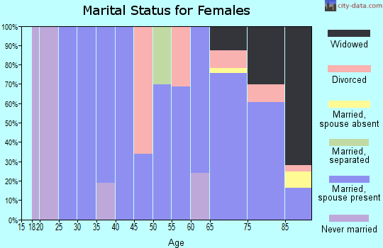 Zip code 15928 marital status for females