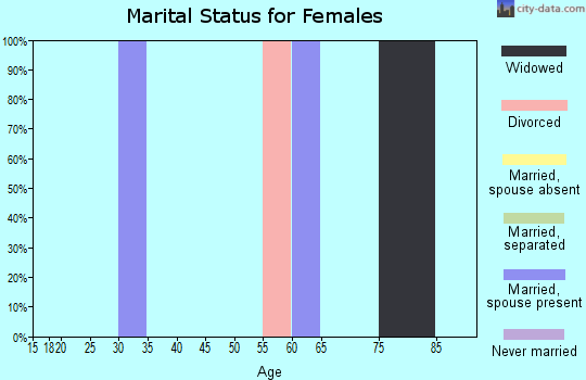 Zip code 15934 marital status for females