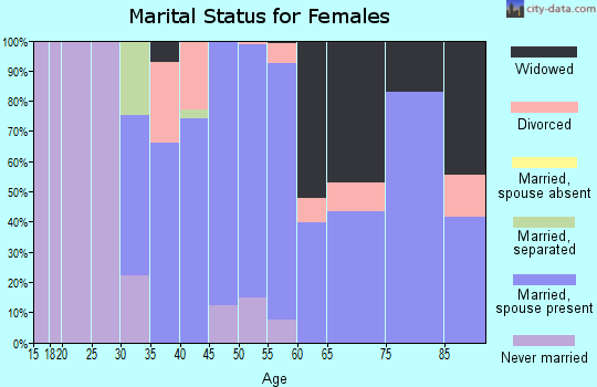 Zip code 15935 marital status for females