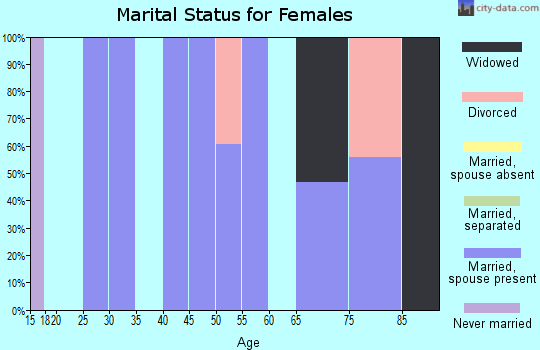 Zip code 15937 marital status for females