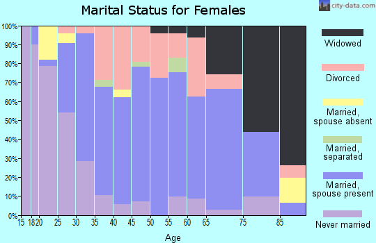 Zip code 15938 marital status for females