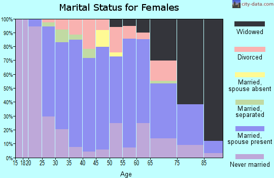 Zip code 15946 marital status for females