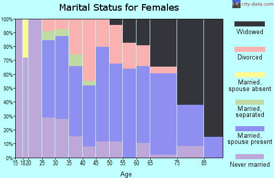 Zip code 15954 marital status for females