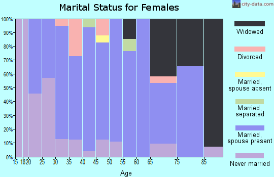 Zip code 15955 marital status for females