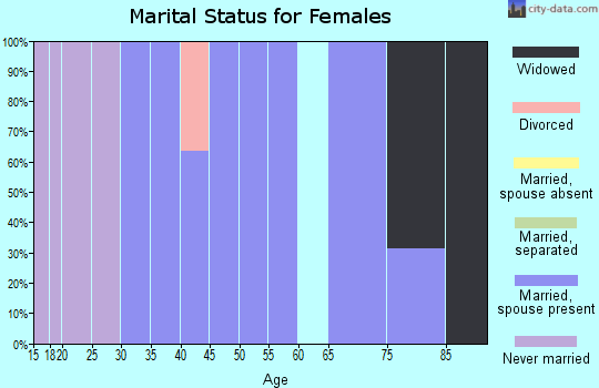 Zip code 15957 marital status for females
