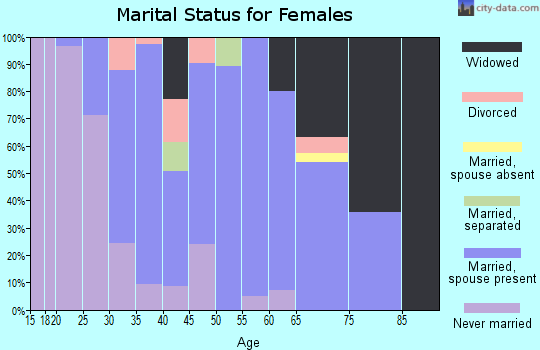 Zip code 15958 marital status for females