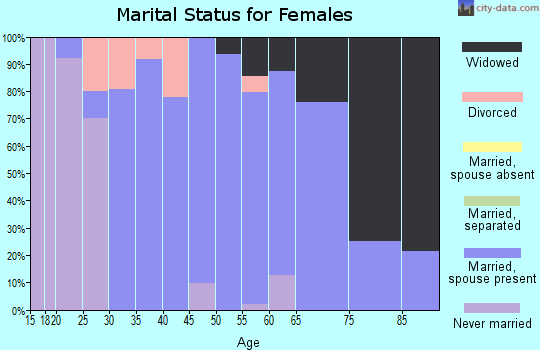 Zip code 15961 marital status for females