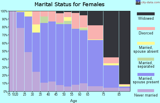 Zip code 15963 marital status for females
