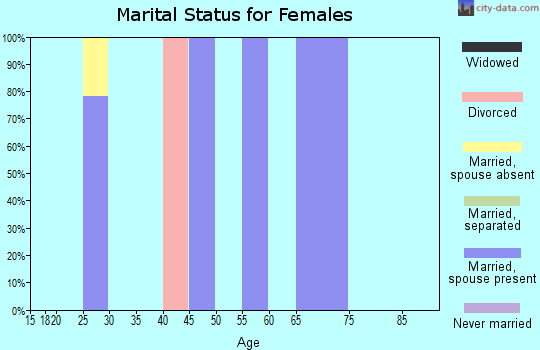 Zip code 16343 marital status for females