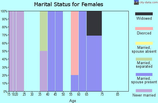 Zip code 16853 marital status for females
