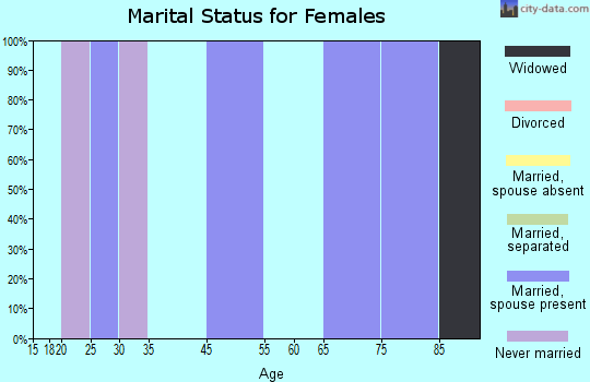 Zip code 16856 marital status for females