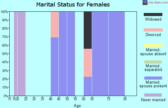 Zip code 16941 marital status for females