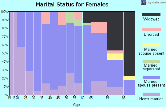 Zip code 17004 marital status for females